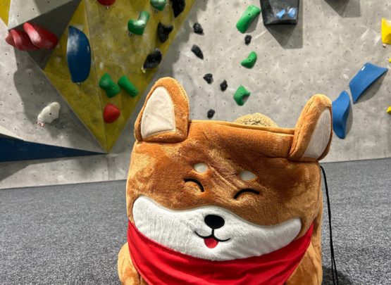 Mit Kindern in die Wiesbadener Nordwand